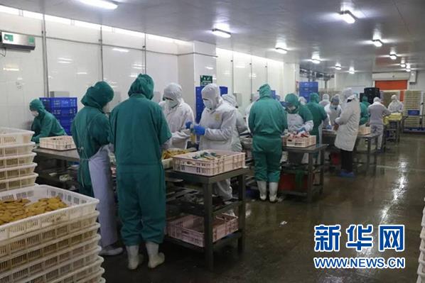 CA88(中国区)官方网站入口