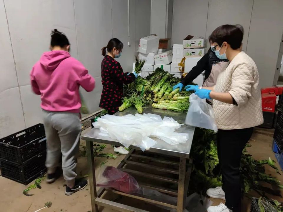 CA88(中国区)官方网站入口