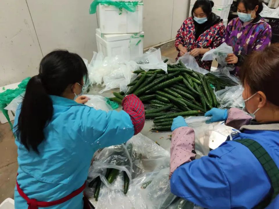 CA88(中国区)官方网站入口