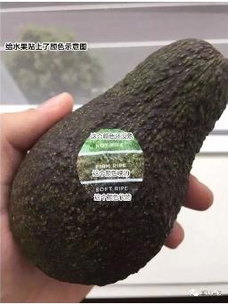CA88(中国区)官方网站入口