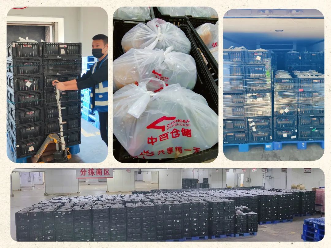 CA88(中国区)官方网站入口