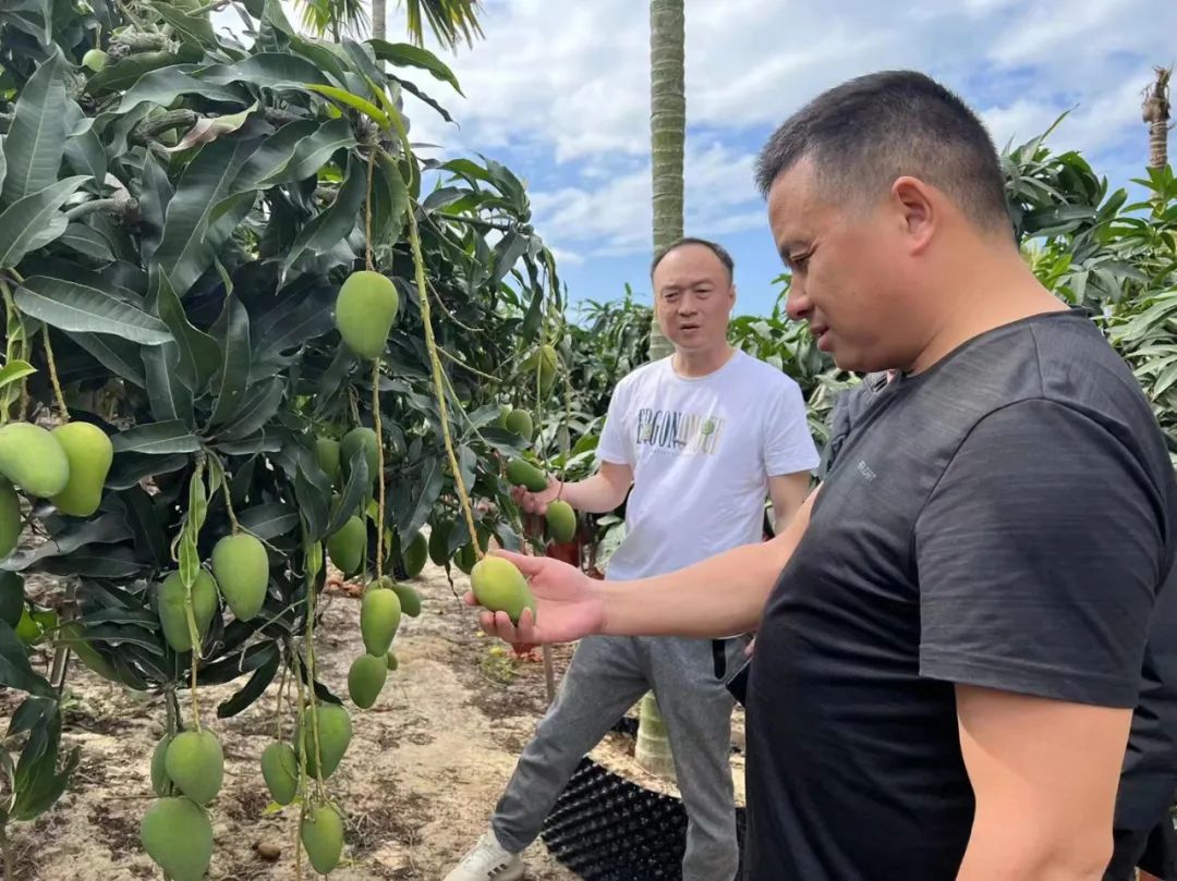 CA88(中国区)官方网站入口