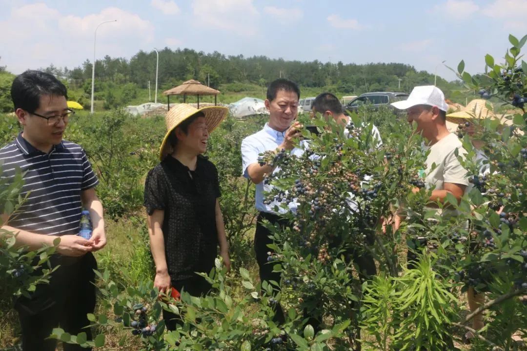 CA88(中国区)官方网站入口