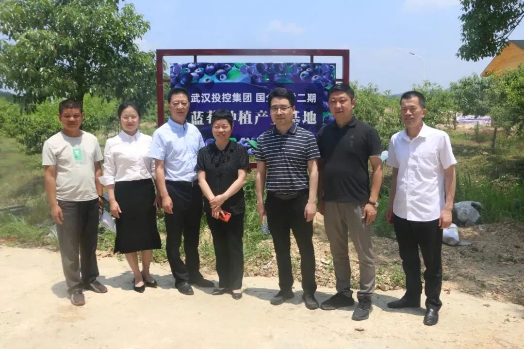 CA88(中国区)官方网站入口