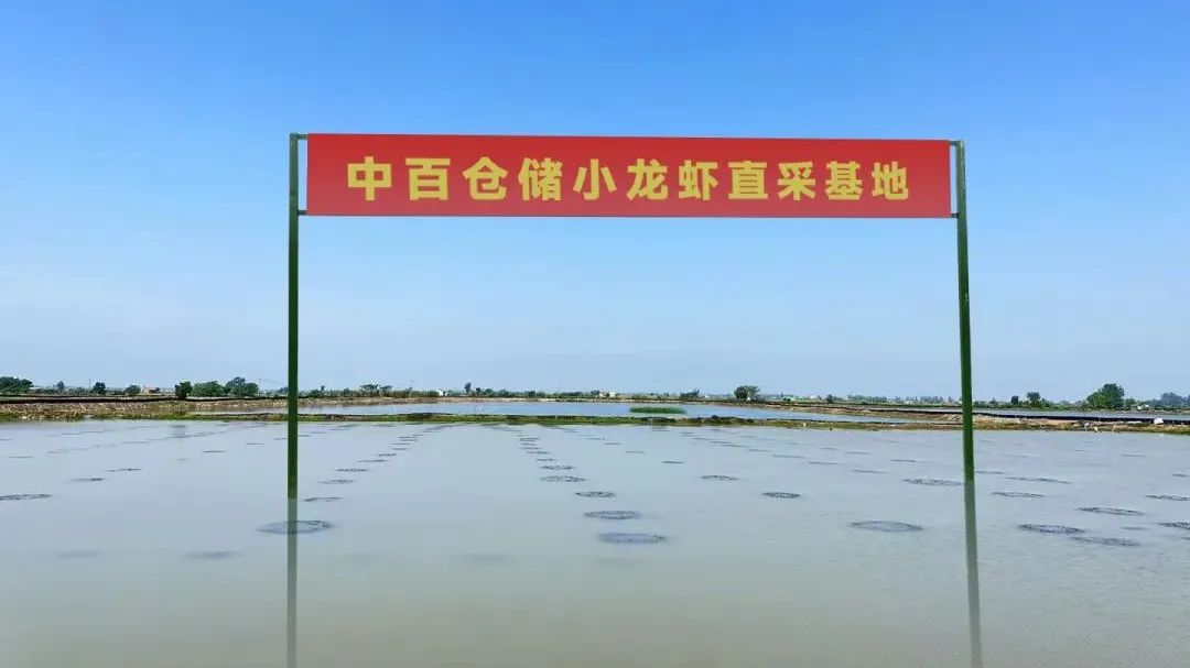CA88(中国区)官方网站入口