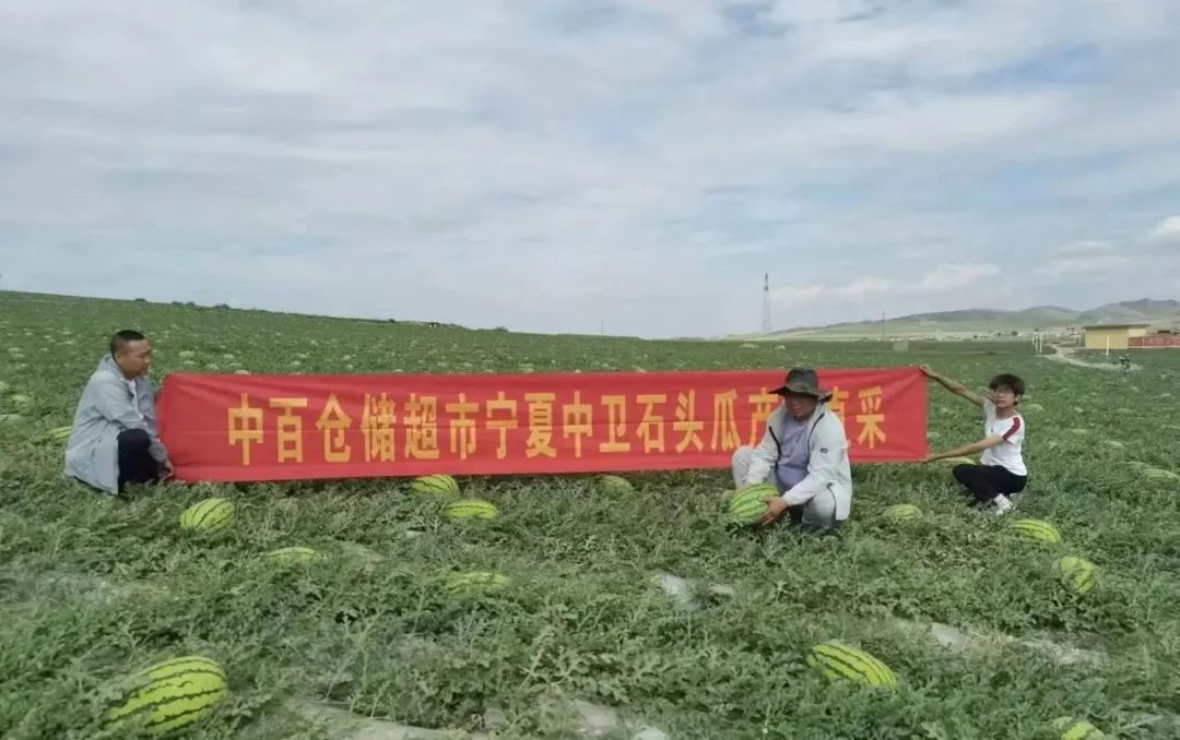 CA88(中国区)官方网站入口
