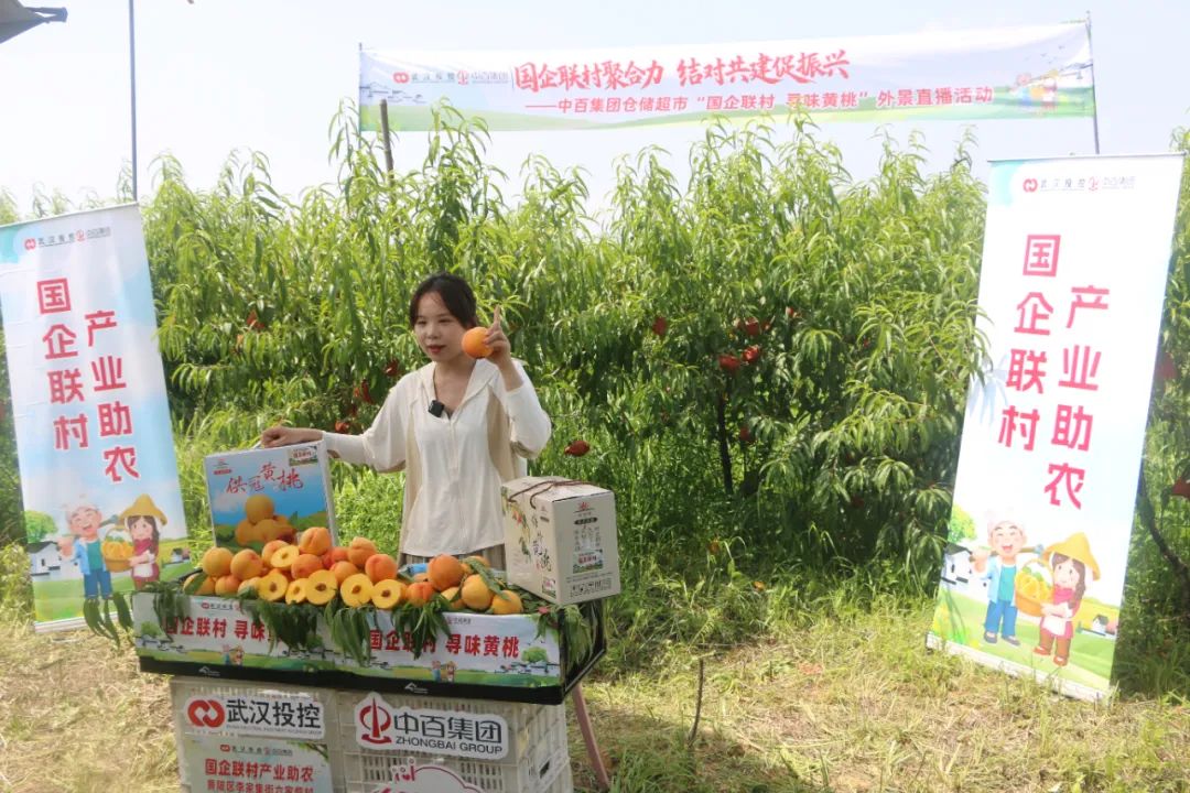 CA88(中国区)官方网站入口