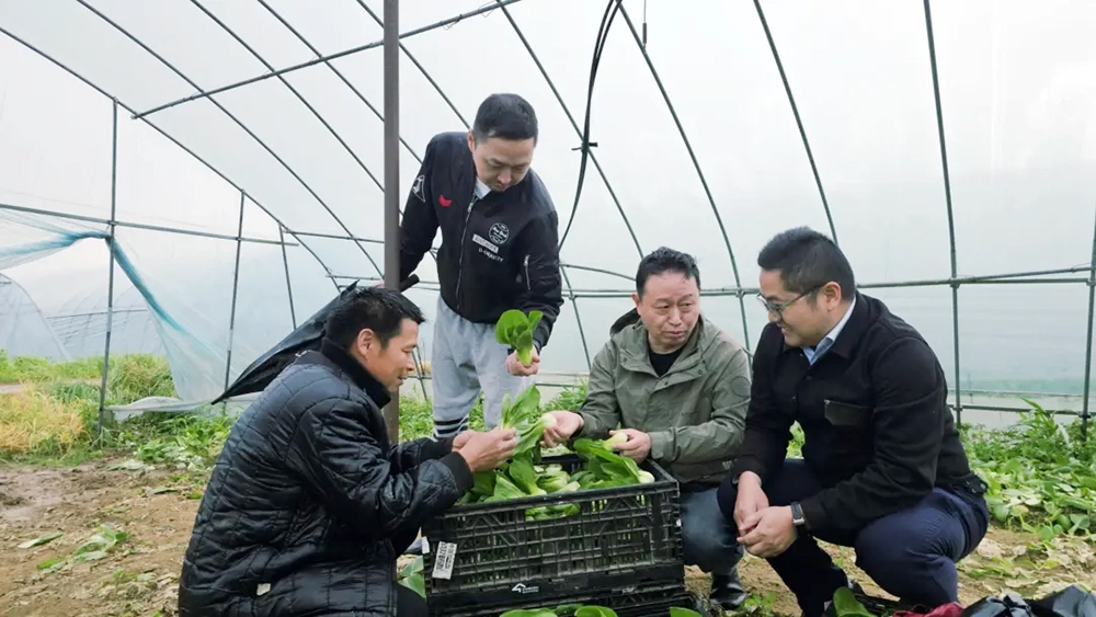 CA88(中国区)官方网站入口