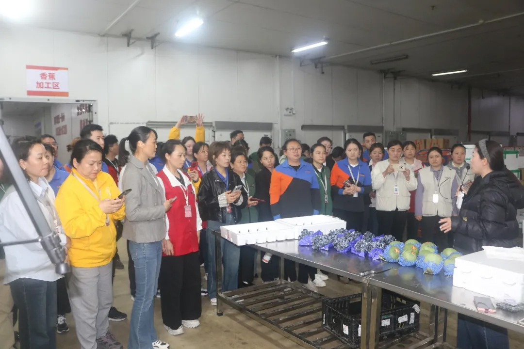 CA88(中国区)官方网站入口