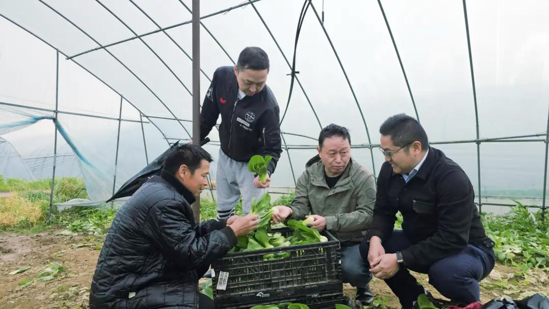 CA88(中国区)官方网站入口